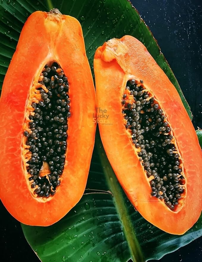 4 packs for 1 – Carica Papaya Fruit Tree Seeds (26ct)