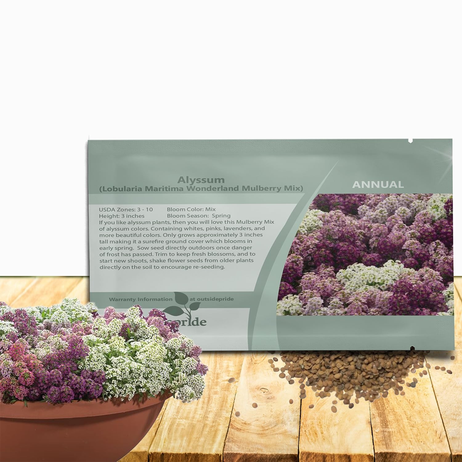 Wonderland Mulberry Mix Alyssum Seeds – 1000 Pcs Annual, Drought-Tolerant & E…