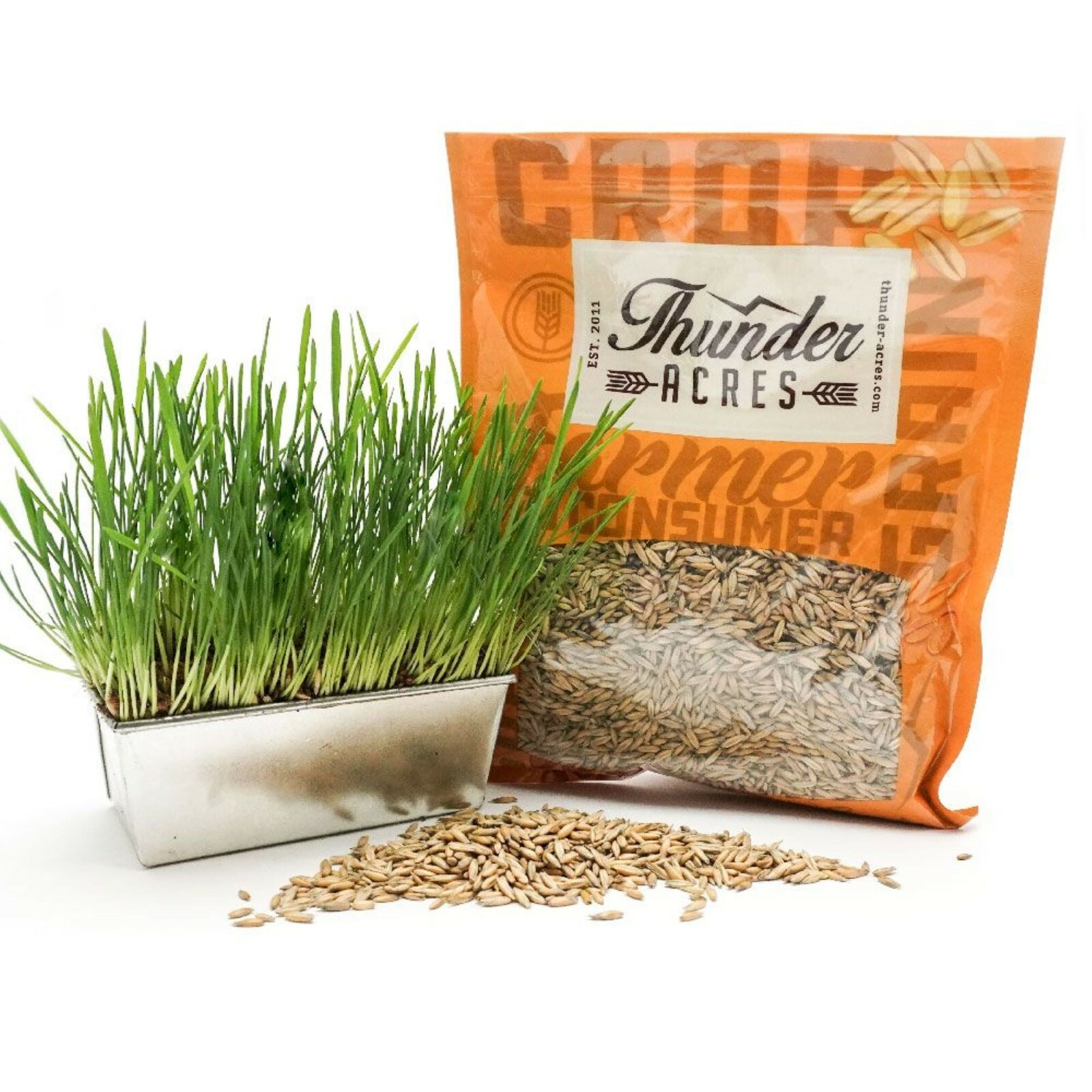 Thunder Acres Non GMO, Certified Organic, Oat Seed