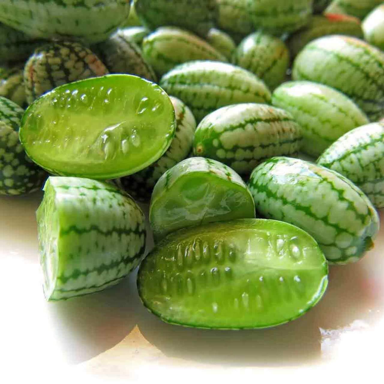 Cucamelon 20 Seeds – Mouse Melon, Melothria Scabra Mini Cucumber, Mexican Sour G