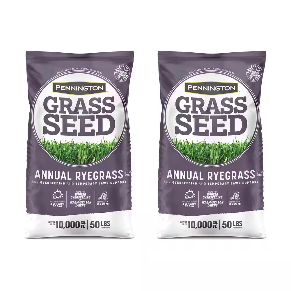 50 Lbs. Annual Ryegrass Grass Seed (2-Pack)