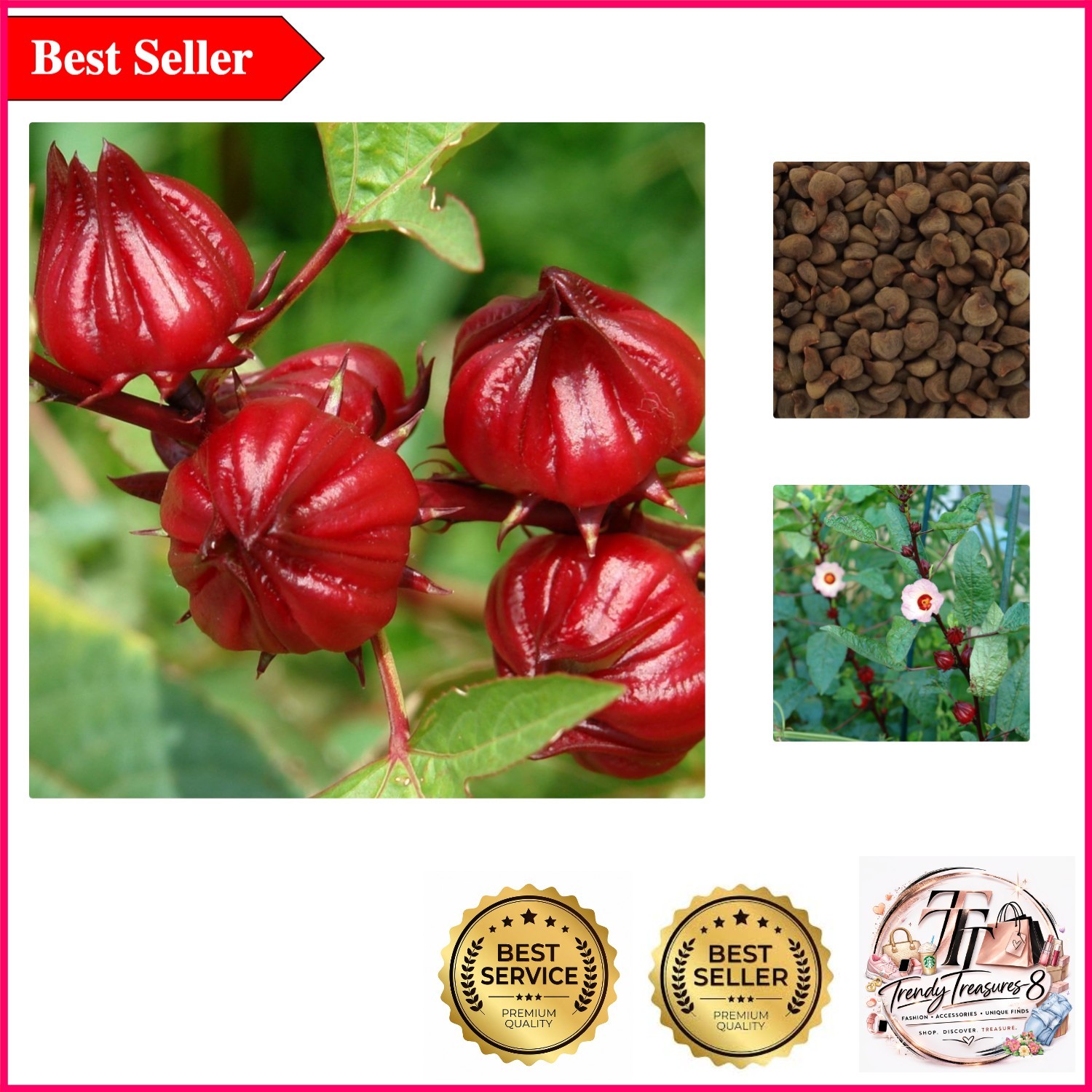 Red Roselle Hibiscus Seeds – 50 Count