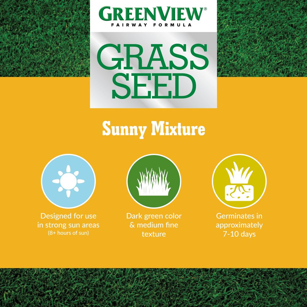 GRASS SEED Fairway Formula Sunny Mixture – 3 Lbs