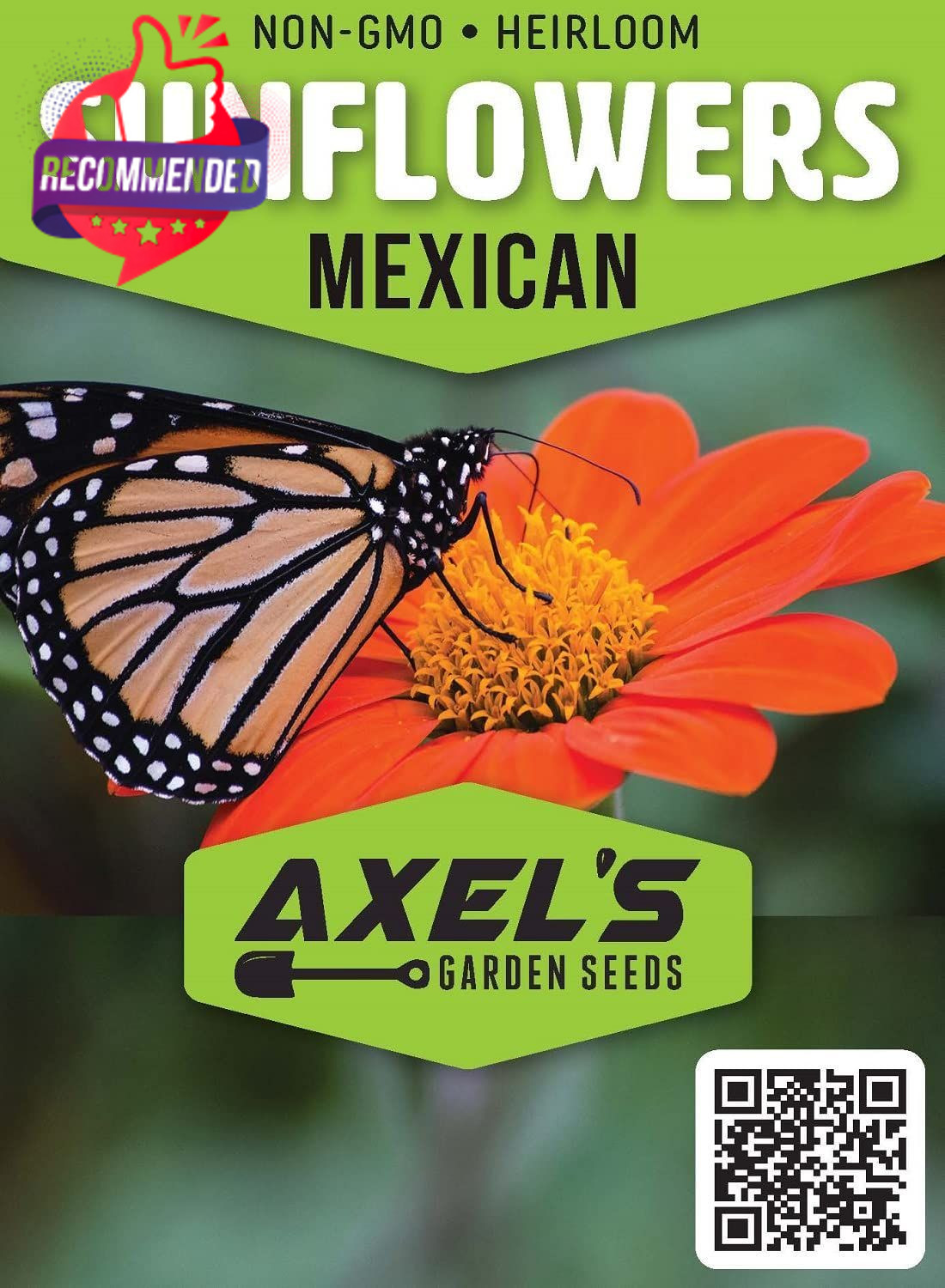 Mexican Sunflower Seeds Heirloom Orange Tithonia Dwarf Torch Flower Planting
