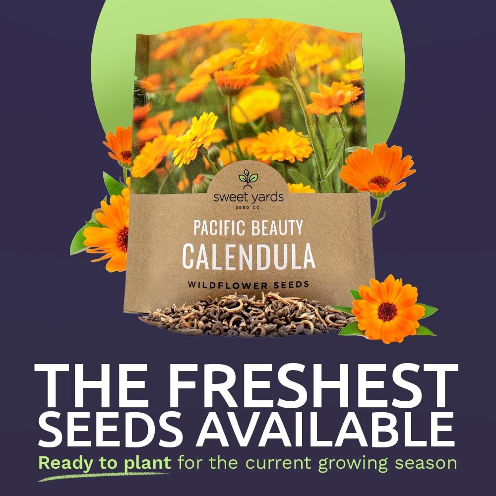 Calendula Pacific Beauty Mix 3000 PCS Wildflower Seeds Officinalis Plant