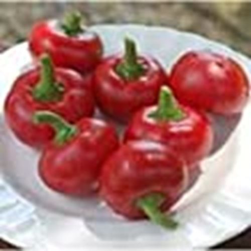 Red Cherry Large Sweet Peppers Seeds (((25 Seed Packet))) (More Heirloom, Organi