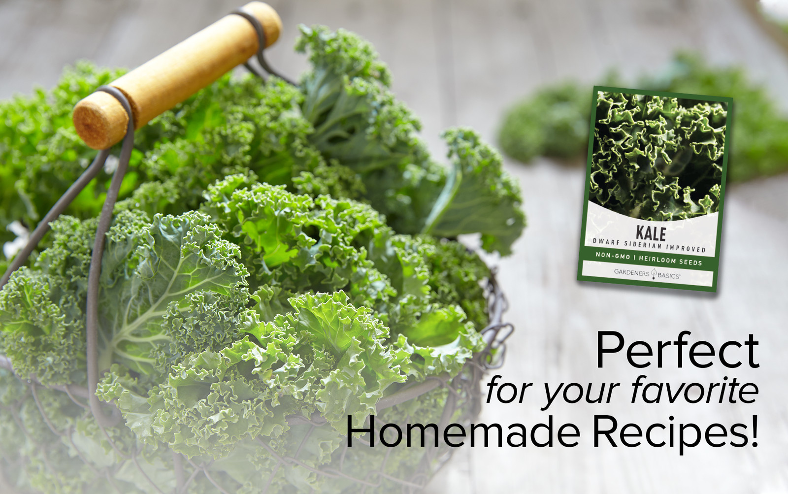 Dwarf Siberian Improved Kale Seeds