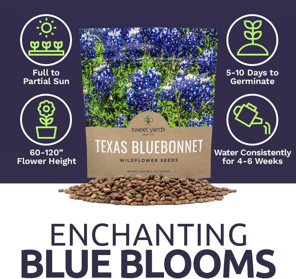 Texas Bluebonnet Wildflower Seeds – Bulk 1/2 Ounce Packet – over 500 Native Seed