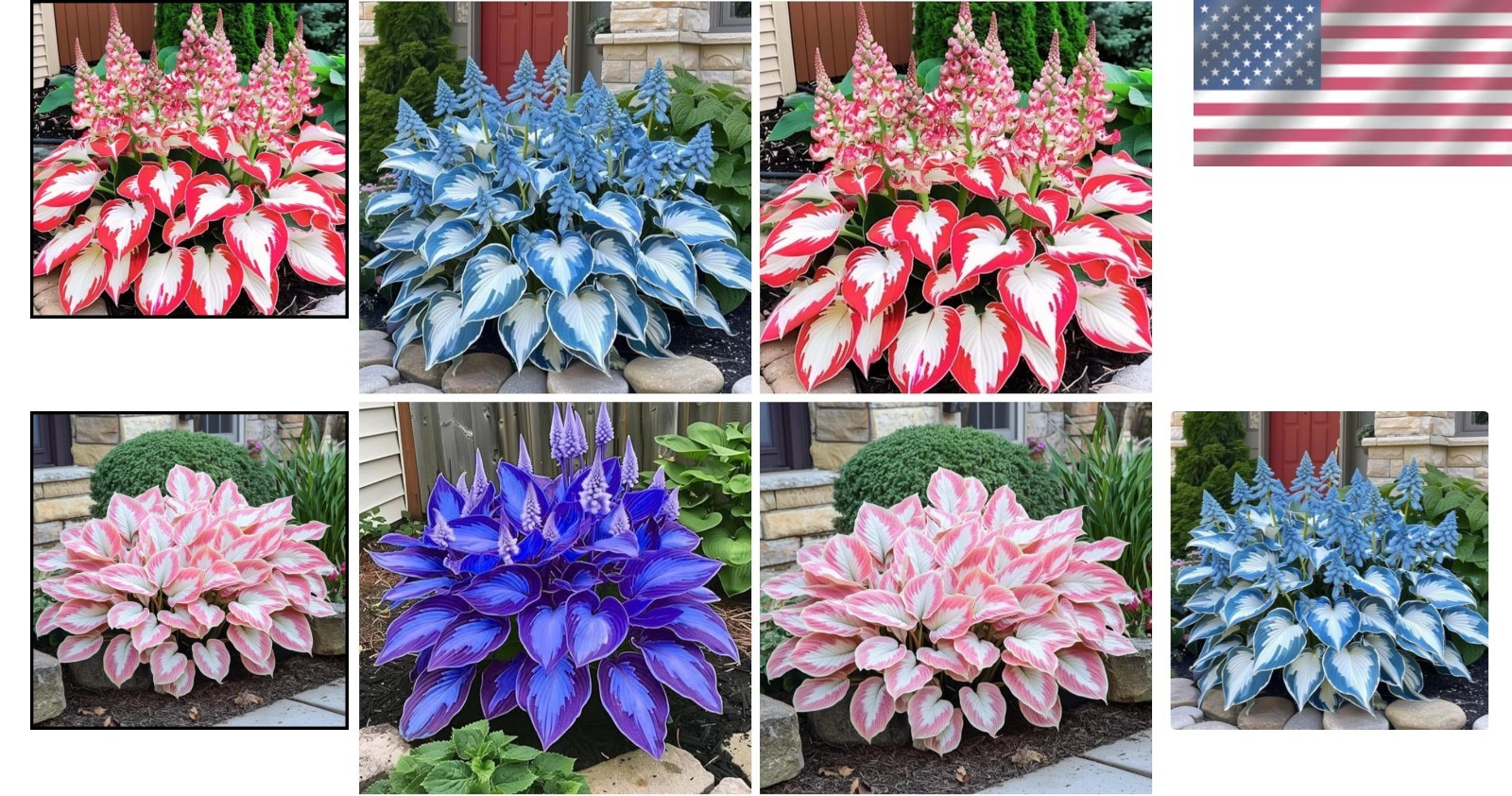Heart-Shaped Hosta Seeds: Grow Beautiful, Low Maintenance Perennials Easily