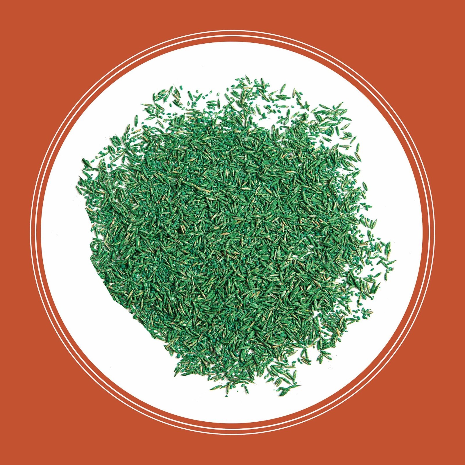 Pennington Smart Seed Texas Bermuda Grass Seed Mix, for Full Sun, 8.75 Lb.
