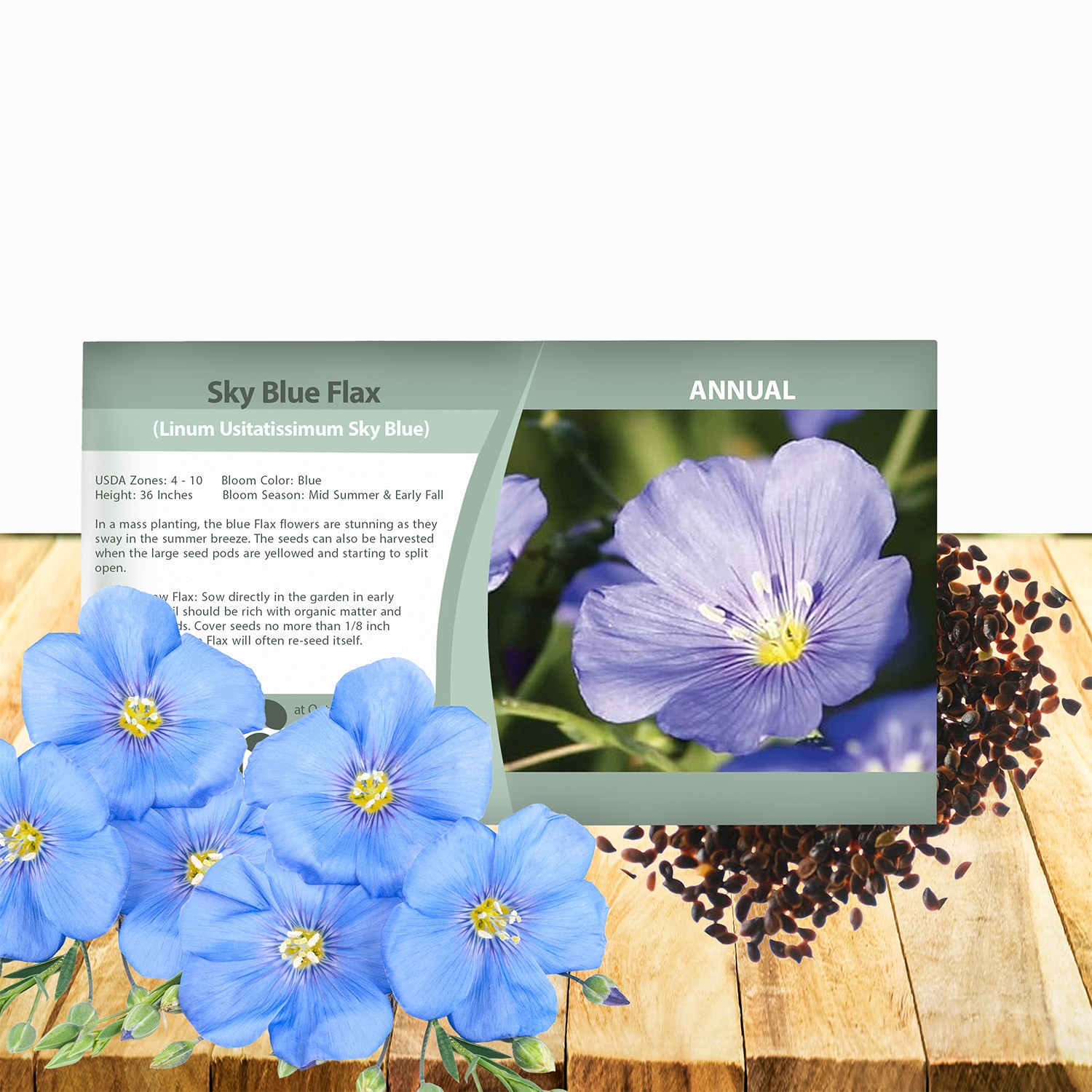 1000 Seeds Linum Usitatissimum Sky Blue Flax Drought Tolerant Plant Seed