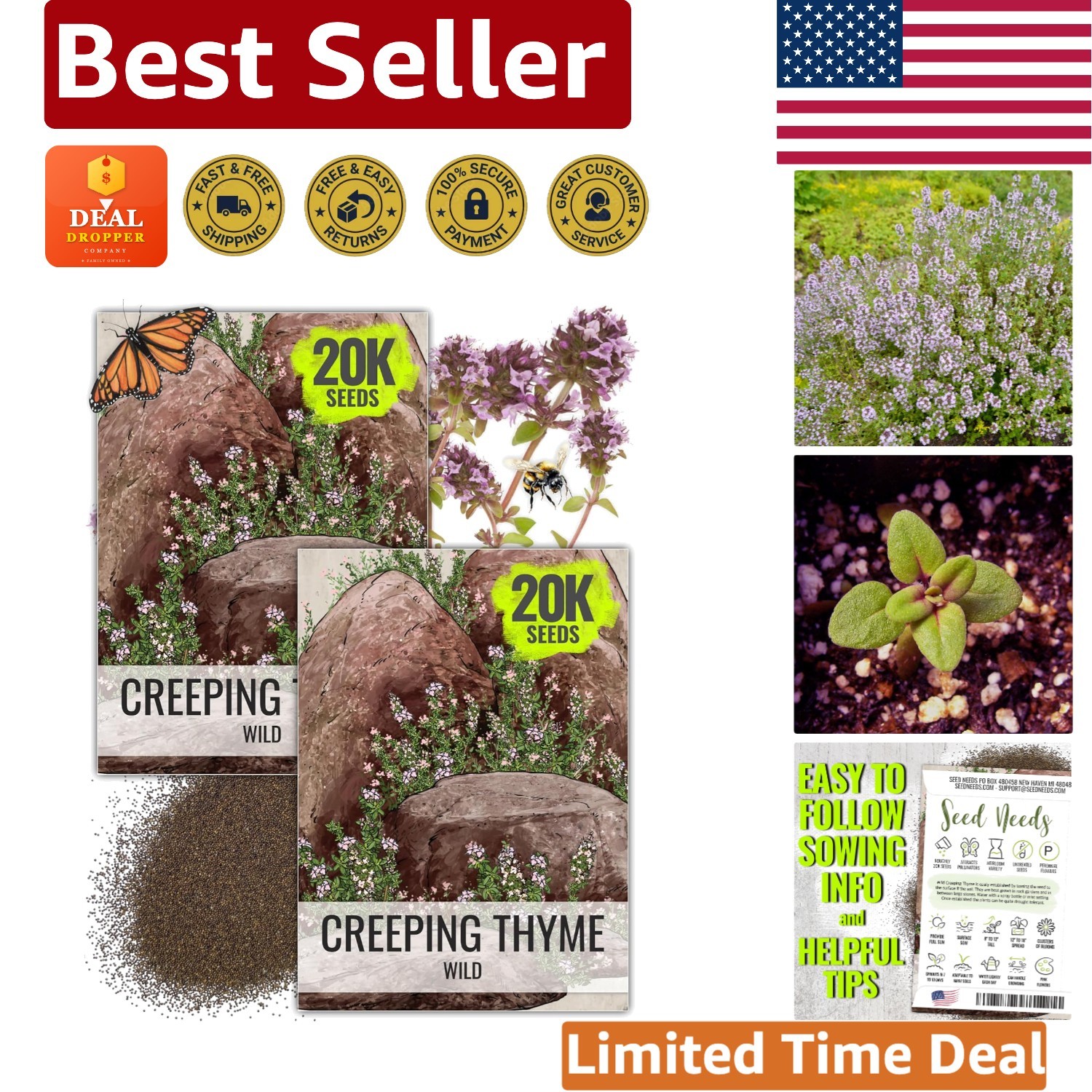 Heirloom Wild Creeping Thyme Seeds – Attractive Purple Flower Groundcover