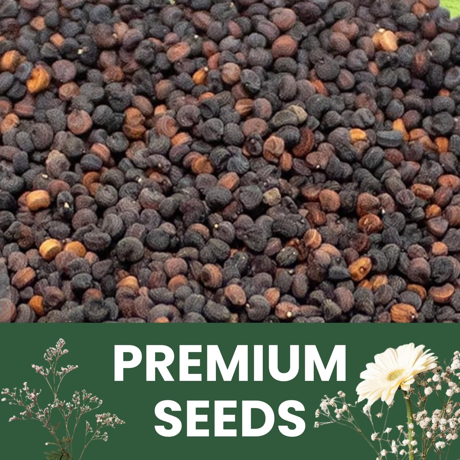 Baby’s Breath – 22,000 Seeds for Planting – 2026 Season – 1 Ounce Pouch