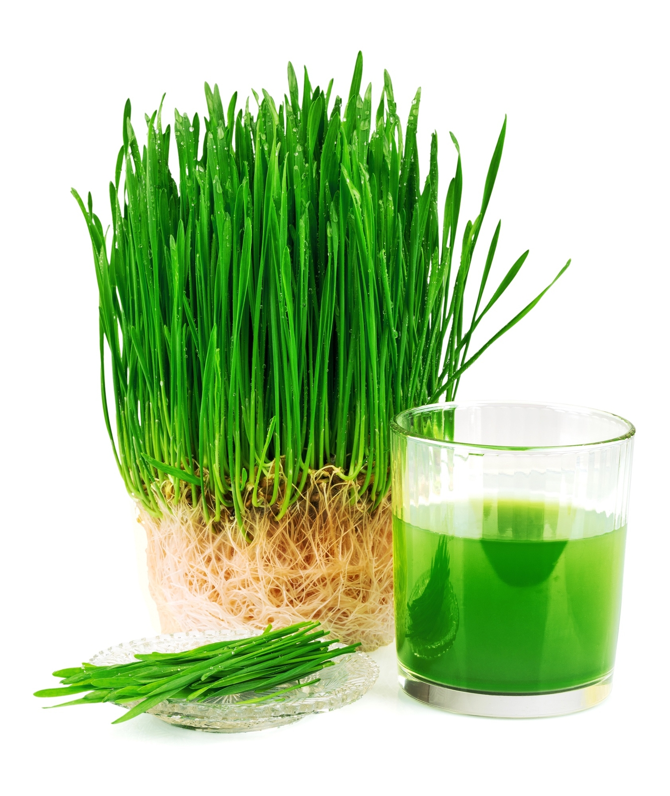 16 oz Wheatgrass