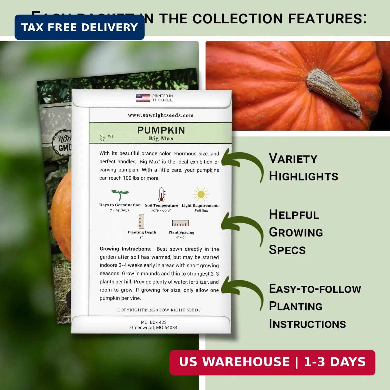 Sow Right Seeds – Classic Pumpkin Seed Collection for Planting – Small Sugar, Ca