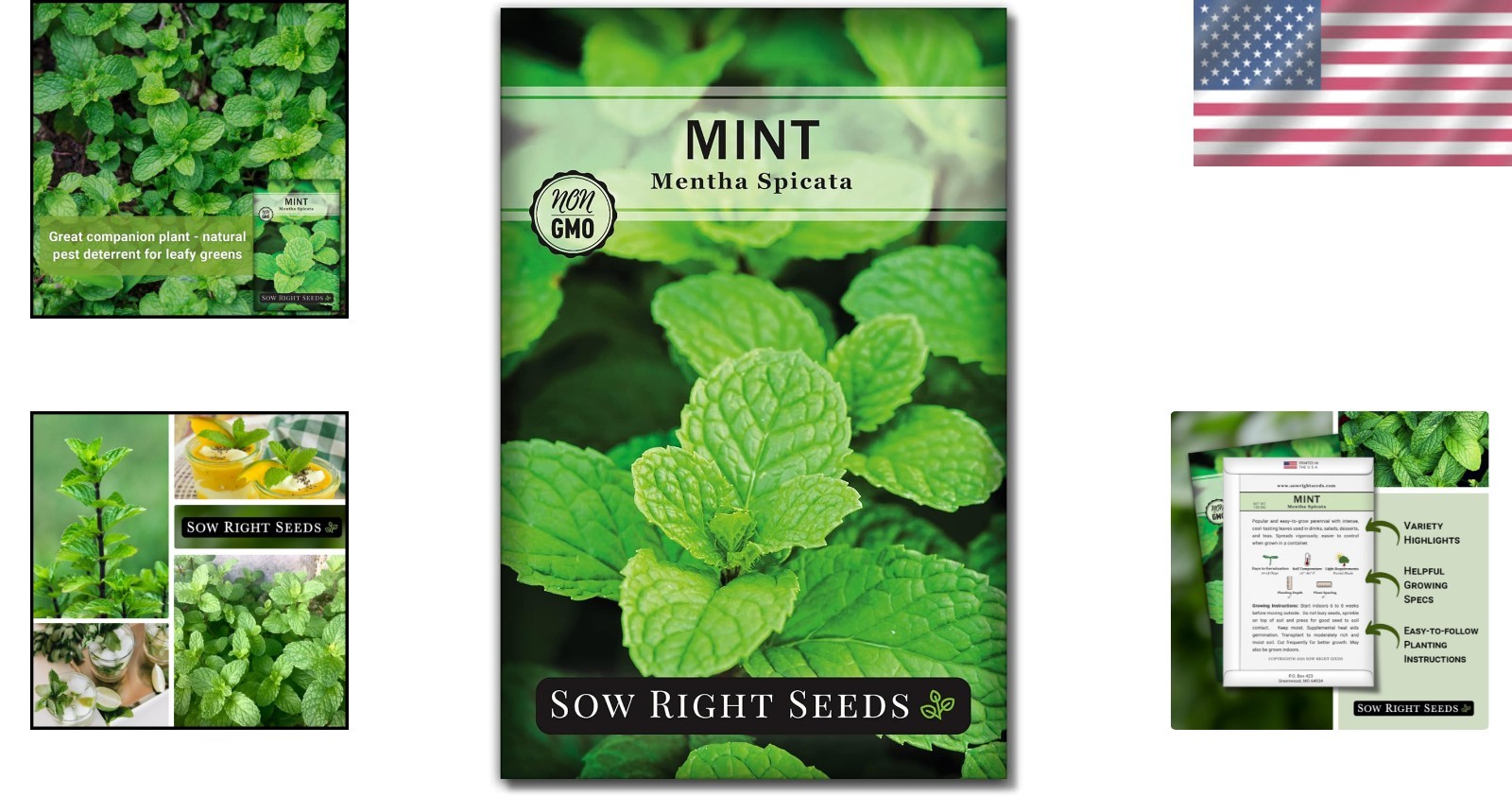 Fast-Germinating Mint Seeds – Non-GMO Herb for Refreshing Drinks & Desserts
