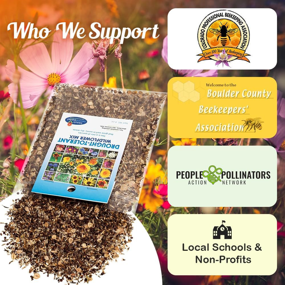 Drought Tolerant Wildflower Seeds – 4Oz, Open-Pollinated Bulk Flower Seed Mix fo