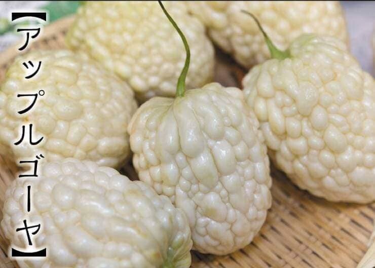 Khổ qua timTrắng 20 Seeds Apple White Bitter Melon round shape rare 台灣白蘋果苦瓜