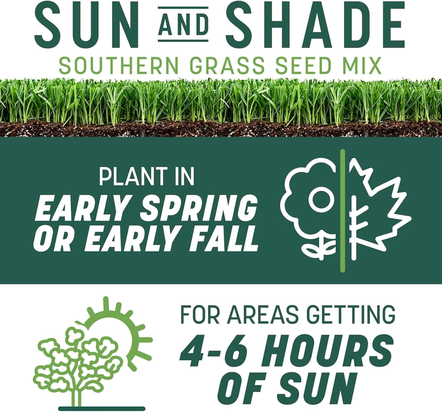 Smart Seed Tall Fescue Mix for Southern Lawns – 7 Lb