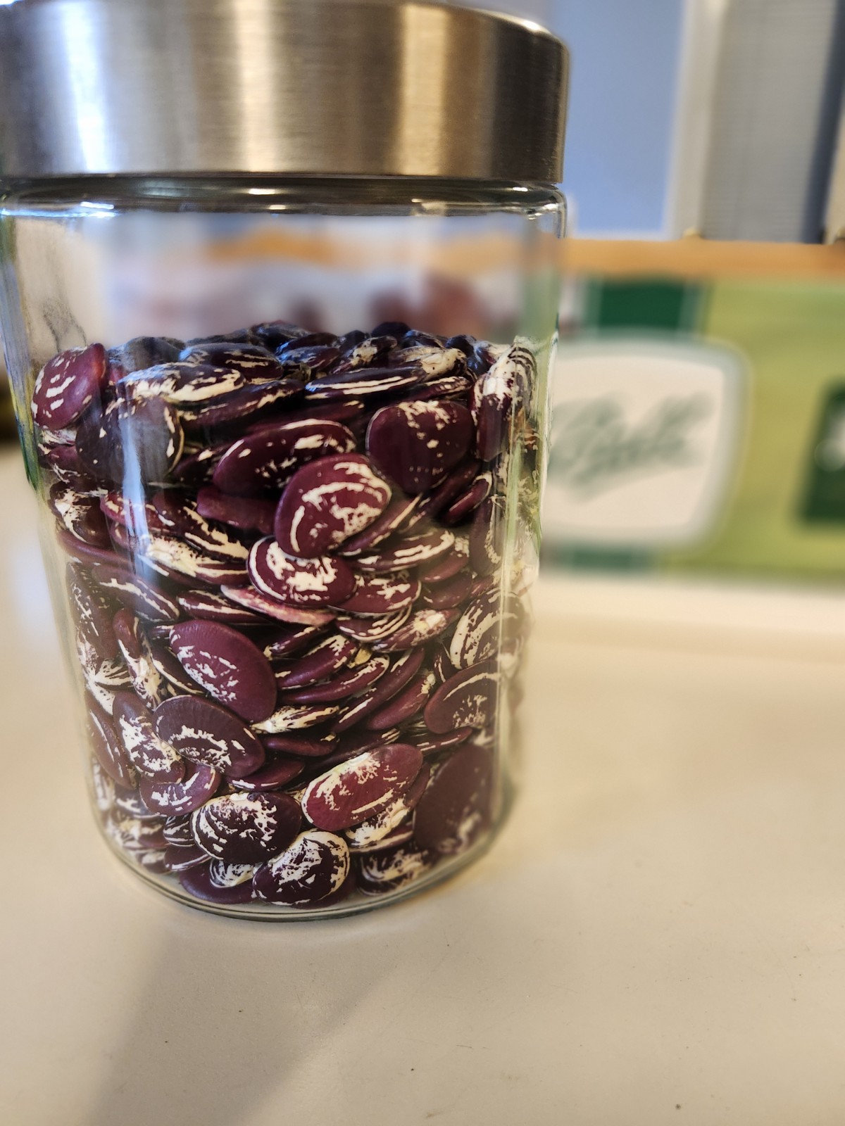 Christmas Pole Lima Beans