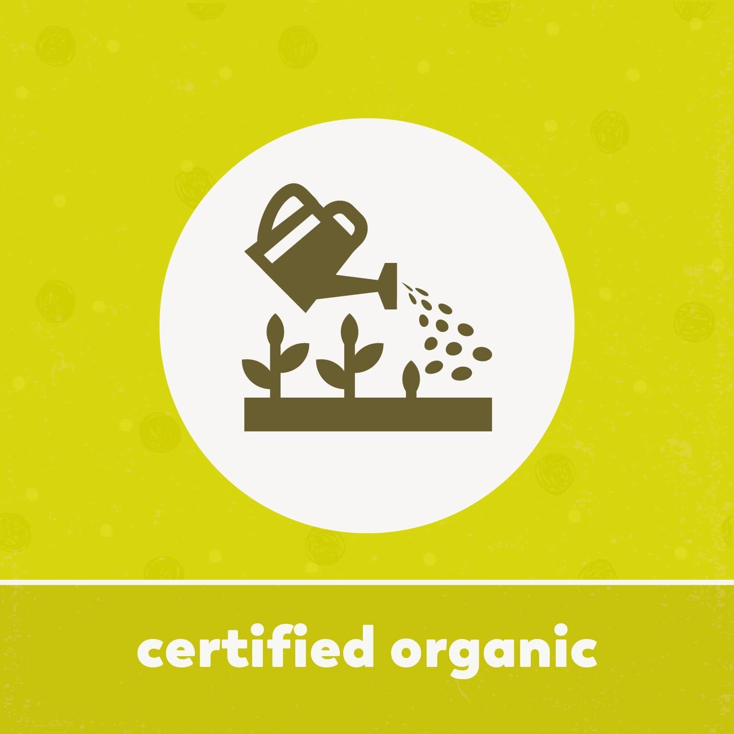 Organic Watermelon Kernels, Ideal for Baking, Snacking