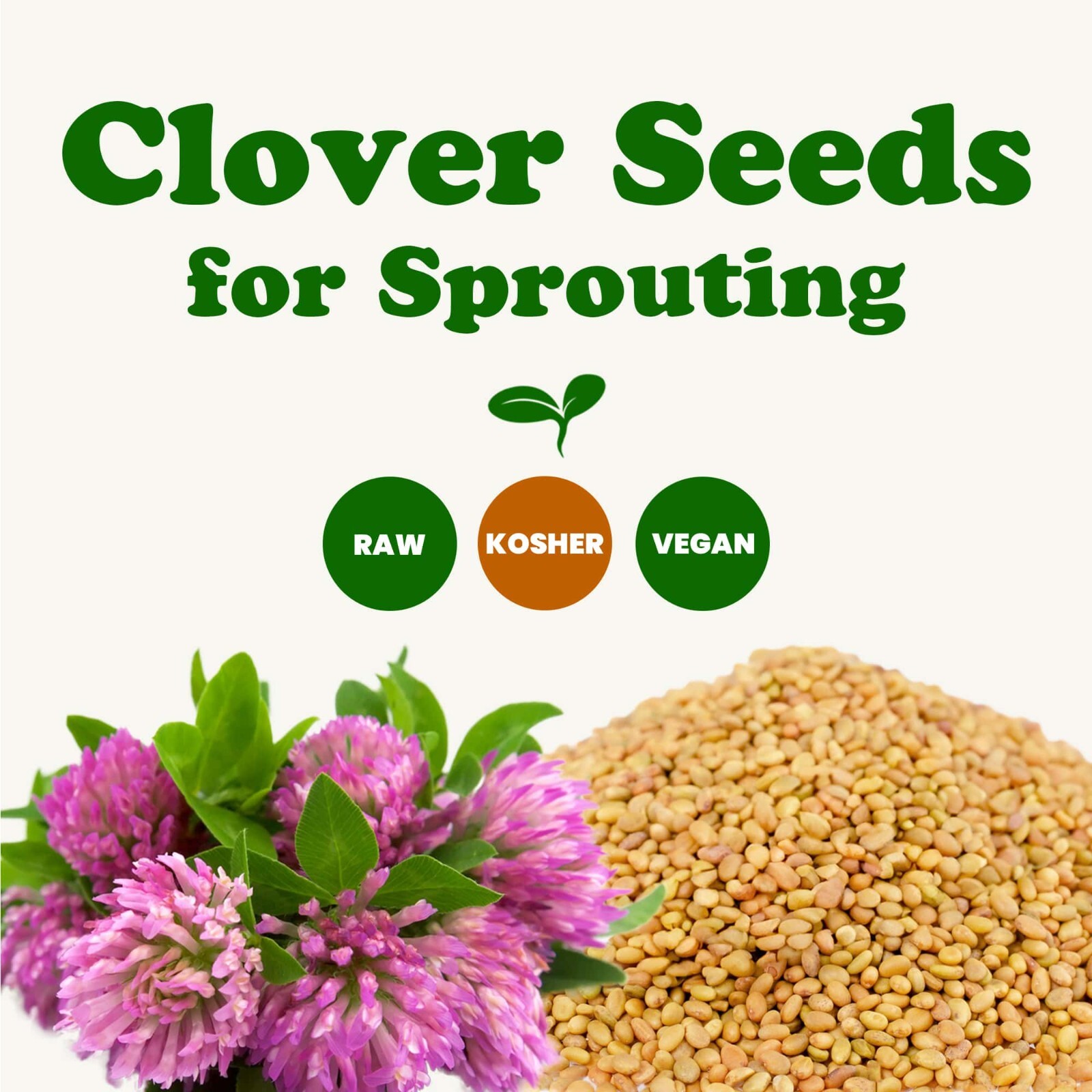 Clover Seeds for Sprouting — Kosher, Vegan — by Food to Live