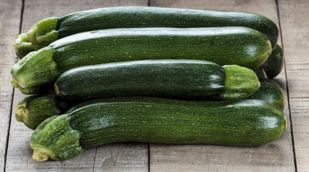 20 Quality Premium Newly Harvested Dark Green Zucchini Summer Squash Seeds-A 24