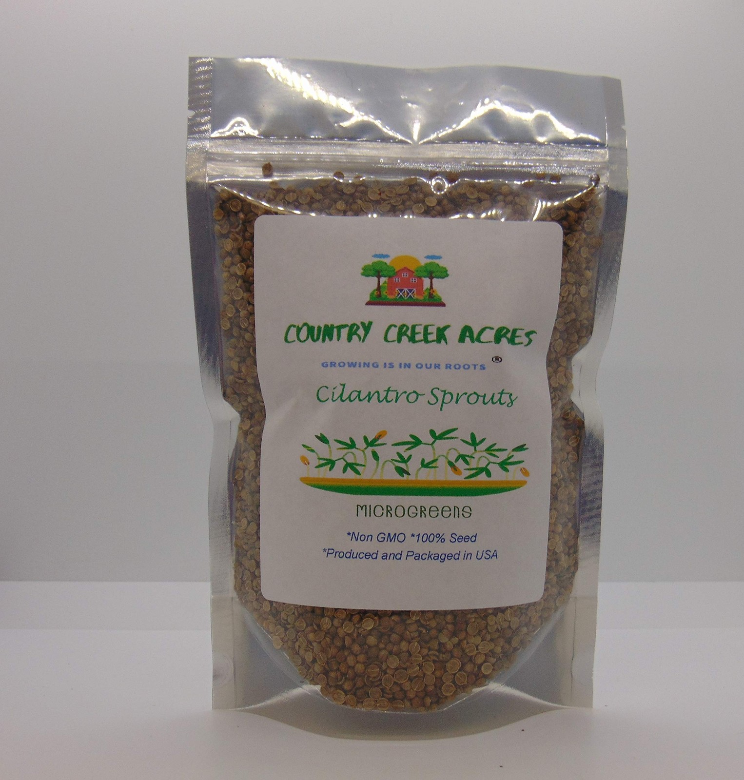 Cilantro Sprouting Seeds, Non-GMO, 2 OZ – High Germination for Microgreens