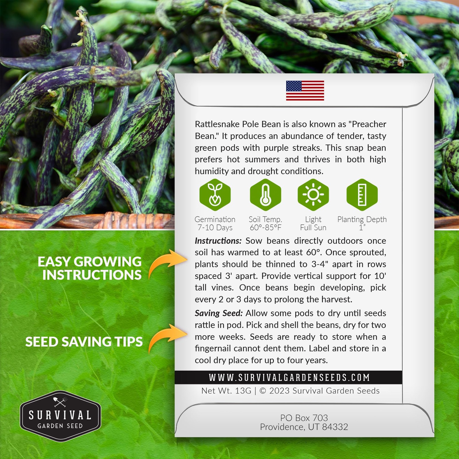 Heat Tolerant Rattlesnake Pole Bean Seeds Heirloom Climbing Green Beans