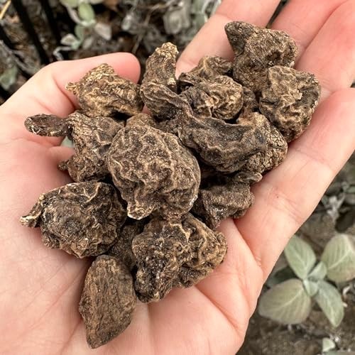 12 Pack Anemone Coronaria ‘The Bride’ Bulbs – Easy Grow White Spring Flowers