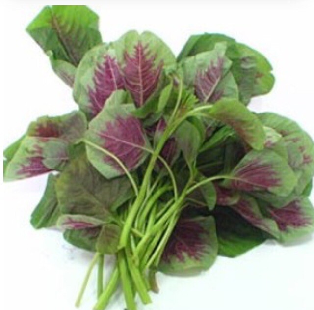 FreeShip 1-LB 480,000 Rau Den Red Stripe Leaf AMARANTH Seeds Chinese Spinach 紅莧菜