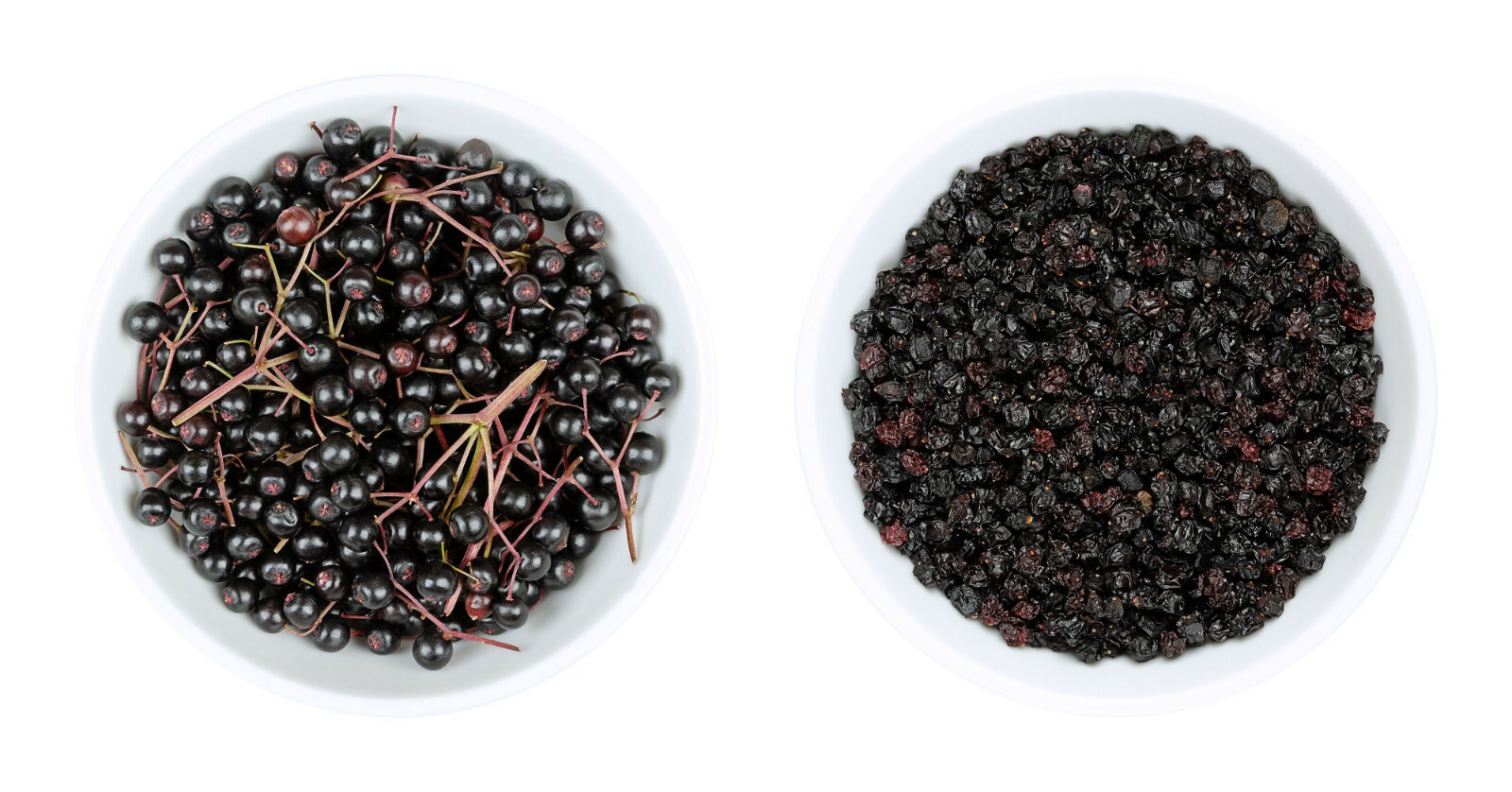 80 European Black Elderberry Seeds (Sambucus nigra), MEDICINAL TREE, USA Seller