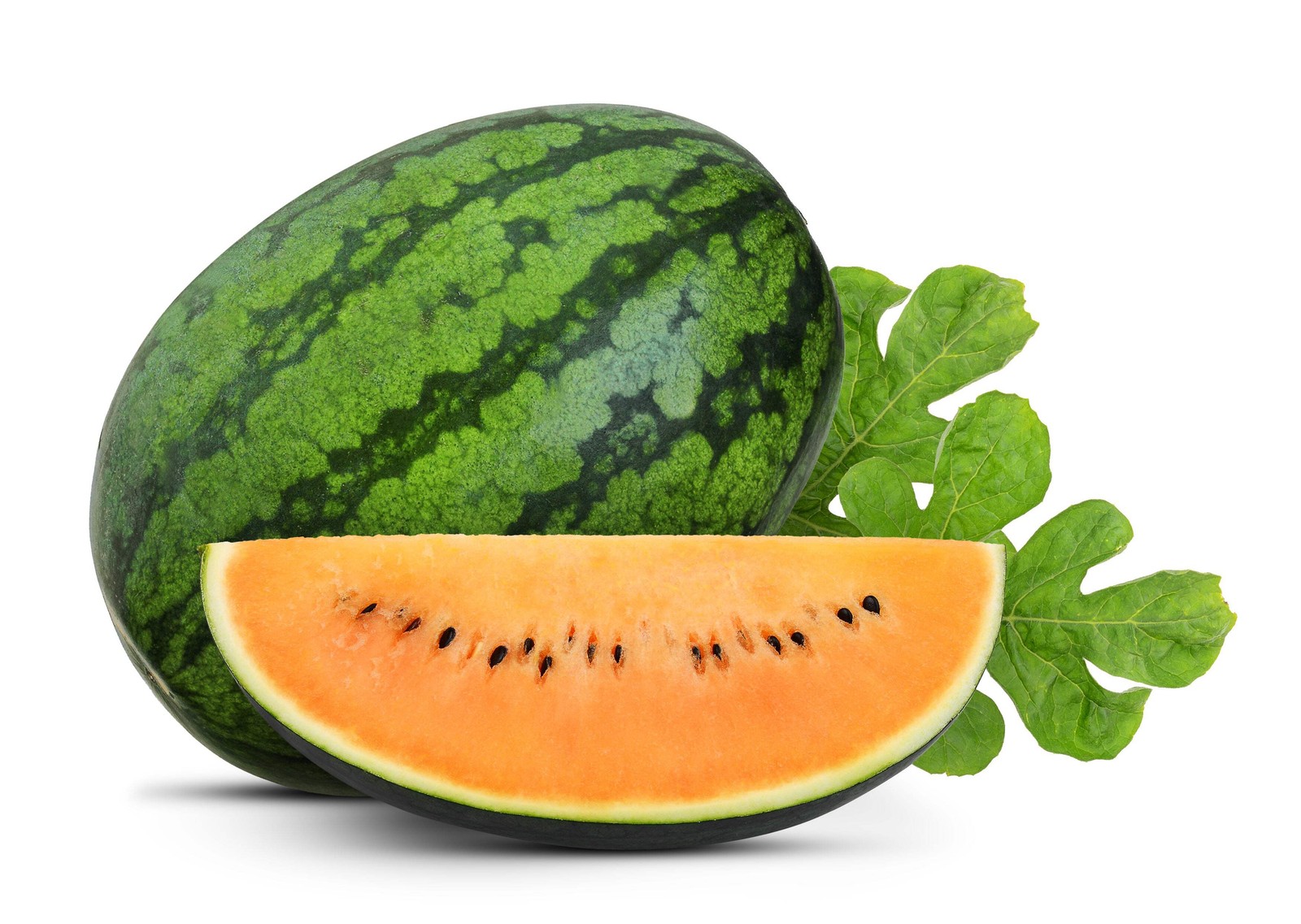50 TENDERSWEET ORANGE WATERMELON Citrullus Lanatus Fruit Melon Seeds