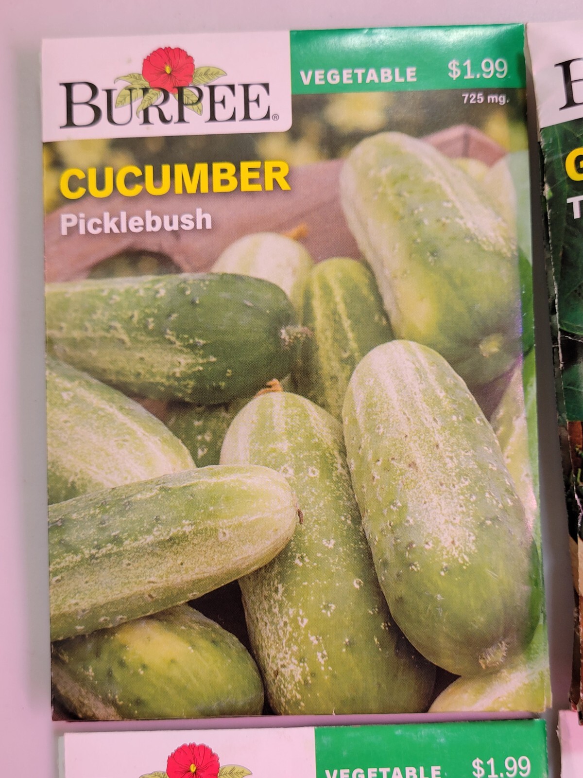 Burpee Vegetable Seeds Assortment 2 (2021) New Inventory Guaranteed to Sprout