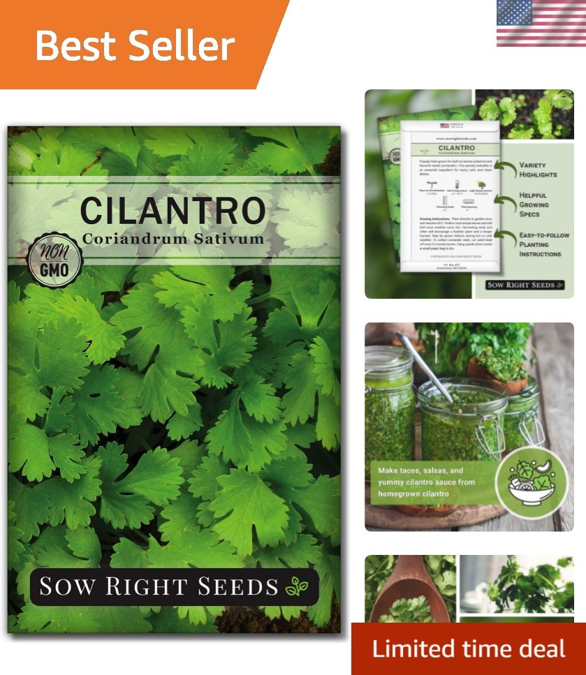 Cilantro Seeds for Planting – Non-GMO Heirloom Packet with Instructions to Gr…