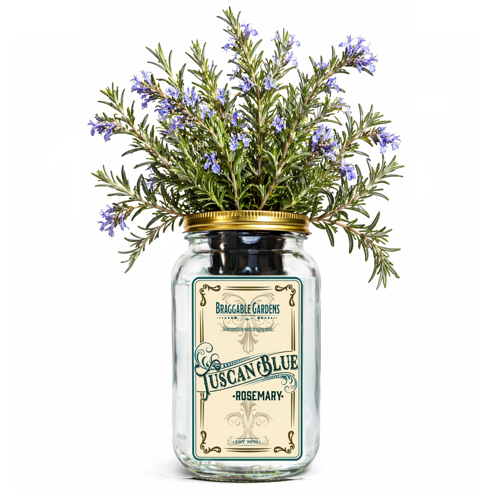 Tuscan Blue Rosemary Indoor Herb Garden Kit – Mason Jar Hydroponic Grow Kit –…