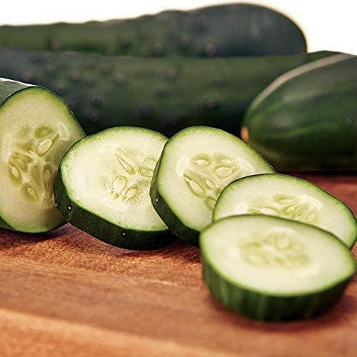 Gateway Hybrid Cucumber Seeds – Best Downy Mildew Resistance of Any Cuke!(25 – S