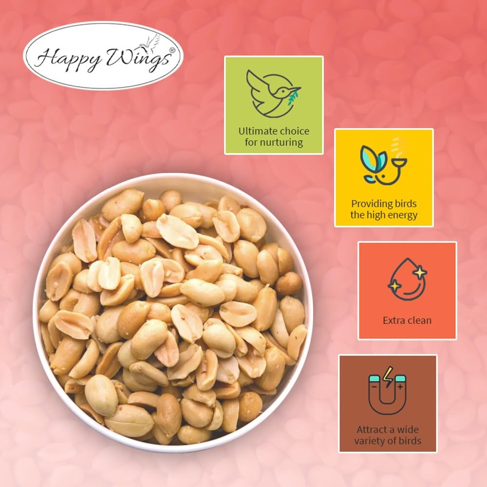 Wild Bird Seed 5 Pounds Shelled Peanuts No Grow Bird Seed Peanut Seeds