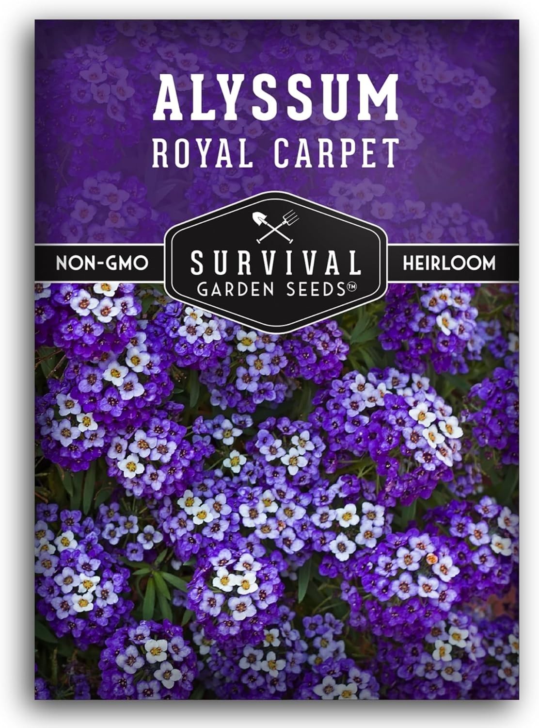 Self-Seeding Purple Alyssum Seeds – Heirloom Non-GMO with Extended Bloom Time