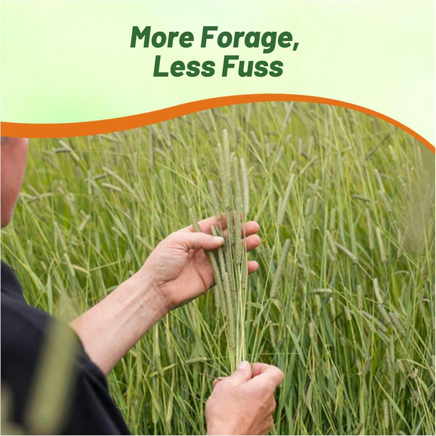 25 LBS Timothy Bunch Grass Seed