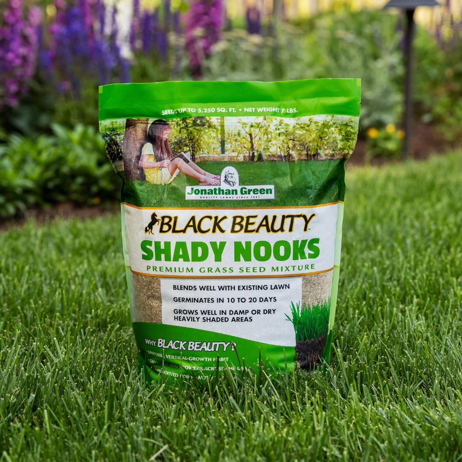 Jonathan Green Black Beauty Shady Nooks Premium Grass Seed Mix, 7lb