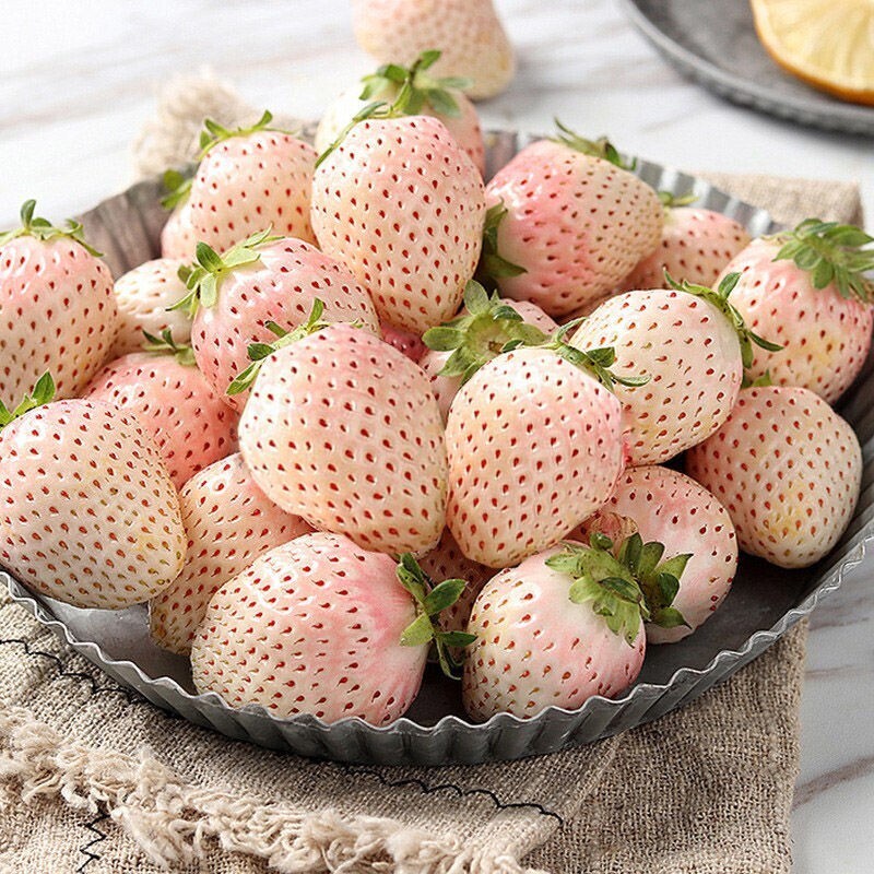 100+White Strawberry Seeds Pineberry Hula berry Alpine berry Container GardenUSA