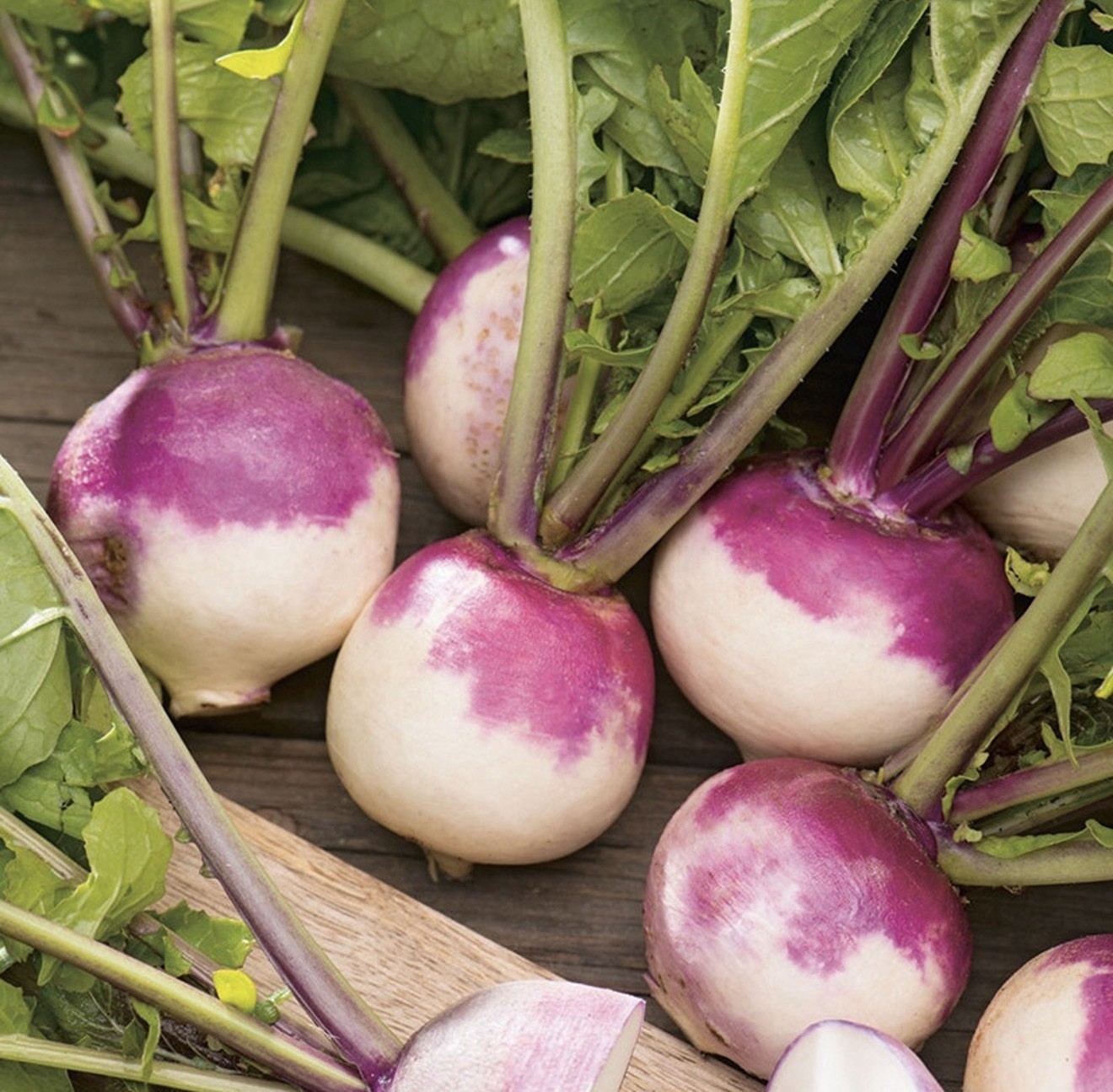 3500+ Turnip Seeds ‘Purple Top White Globe’ | Heirloom, Non-GMO, Gardening Seed