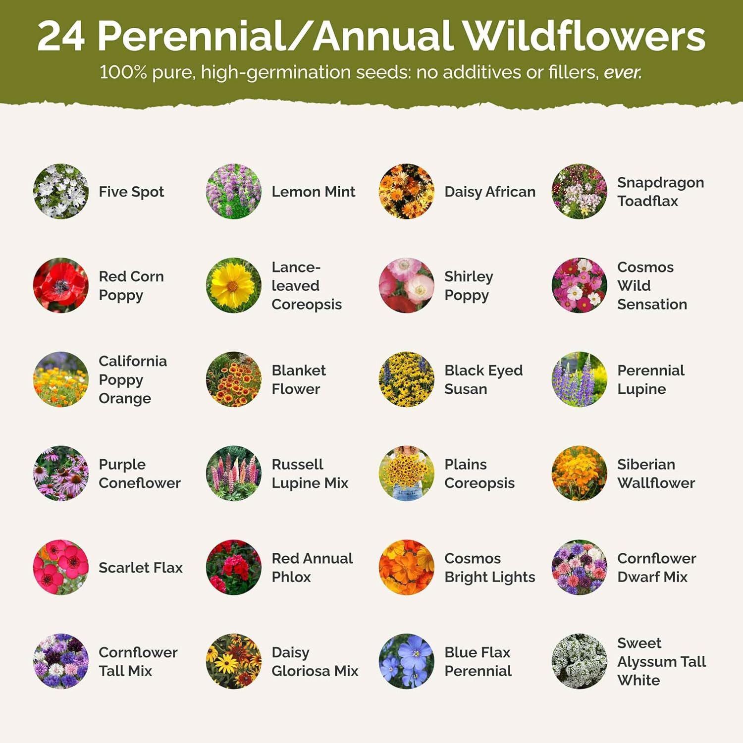 North Carolina Wildflower Mixed Seeds for Planting, 1/4 Lb