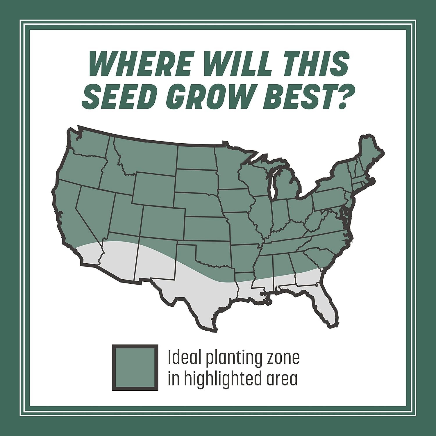 Quick-Germinating Kentucky 31 Tall Fescue Grass Seed – 1400 sq ft Coverage