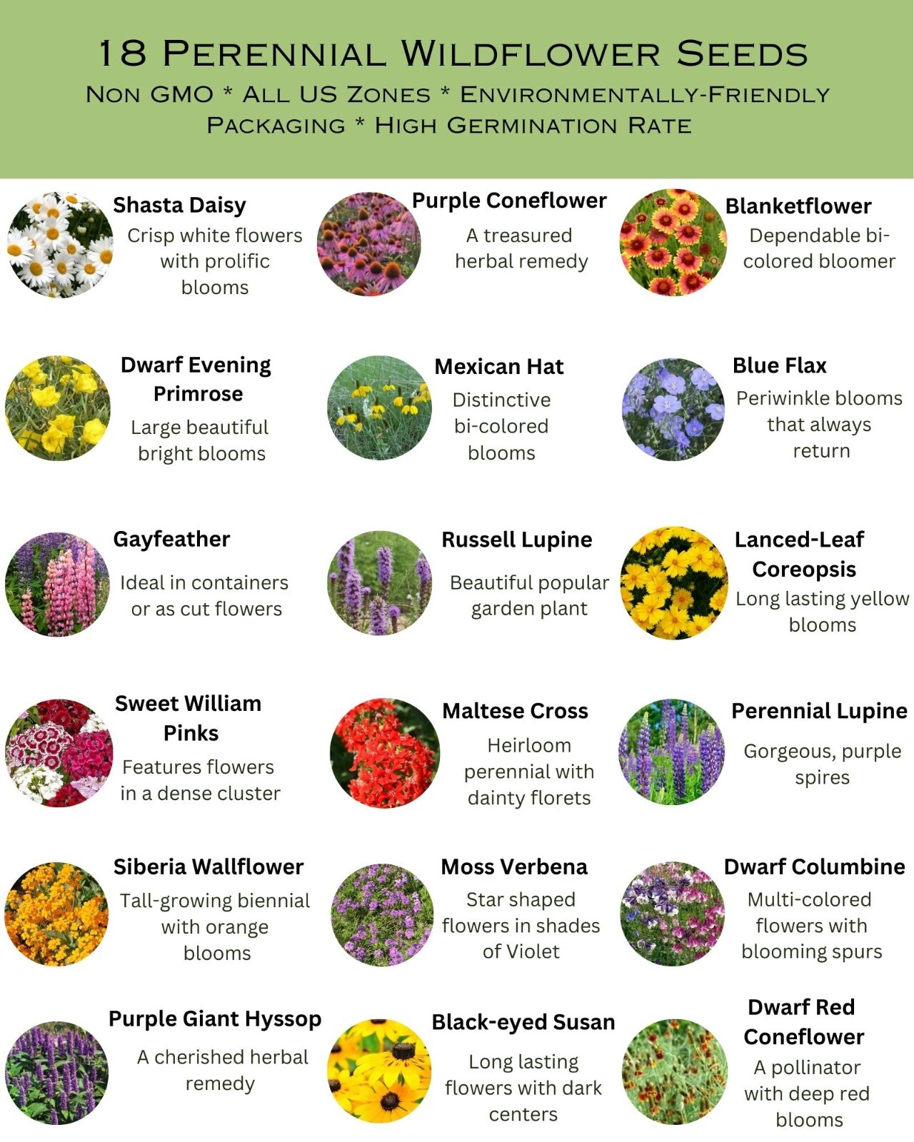 All Perennial Wildflower Heirloom Seed Mix 1/4 lb Bulk Variety Fast Sprouting