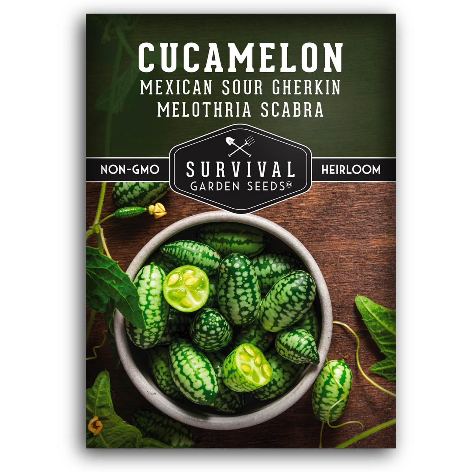Cucamelon Seeds for Planting – Mexican Sour Gherkin Mini Watermelon Cucumber …