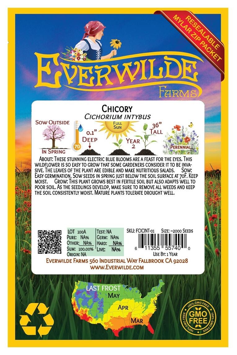 2000 Chicory Wildflower Seeds – Everwilde Farms Mylar Seed Packet