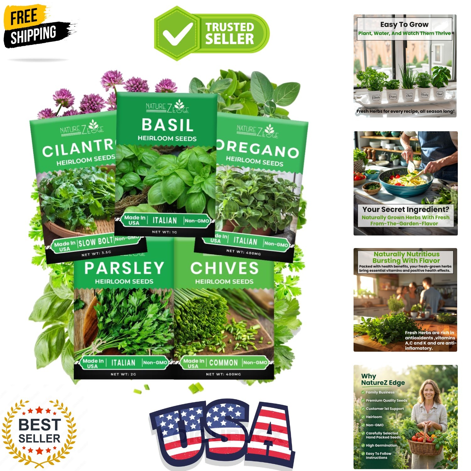 5 Herb Seeds Variety Kit, Oregano, Cilantro, Parsley, Basil, Chives