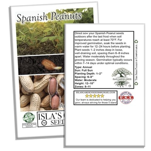 Spanish Peanut Seeds (Arachis hypogaea) – 20 Non-GMO Heirloom by Isla’s Garden